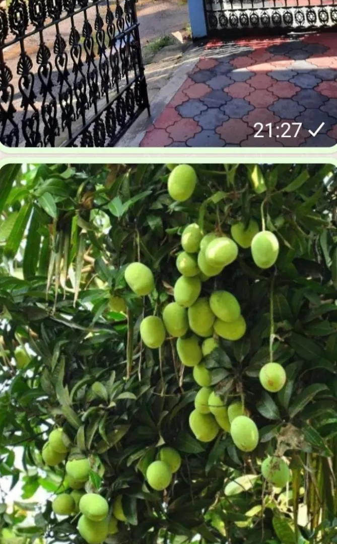 Urban Rose Homestay 坎努尔
